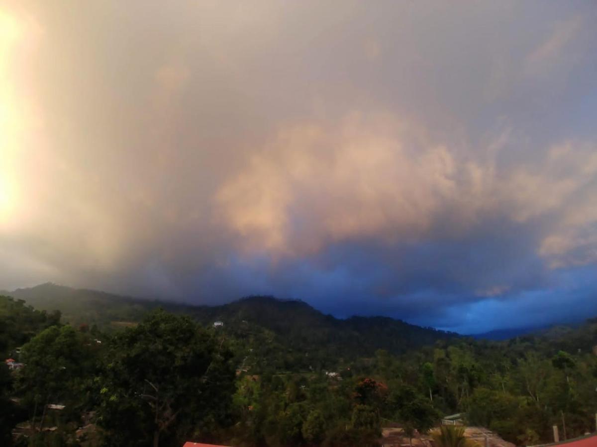 Talblick Homestay 埃拉 外观 照片