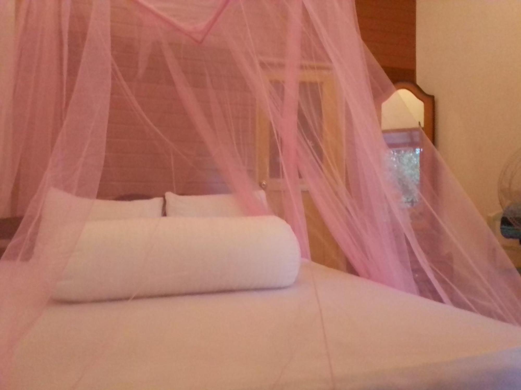 Talblick Homestay 埃拉 客房 照片